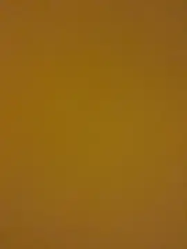 kentojp online show from November 14, 1:48 pm