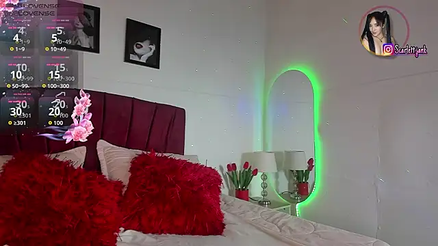 Snapshot of Scarlett_Jank chatting on February 25, 7:47 pm Scarlett Jank online show from February 25, 7:47 pm