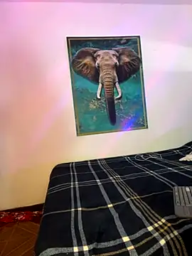 alisaa jhons1 online show from November 27, 1:17 am