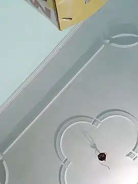 sanjana077 online show from November 27, 6:14 am