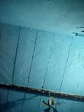 Chinki pande online show from November 26, 2:50 pm