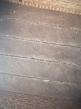 Chinki pande online show from November 15, 6:06 am