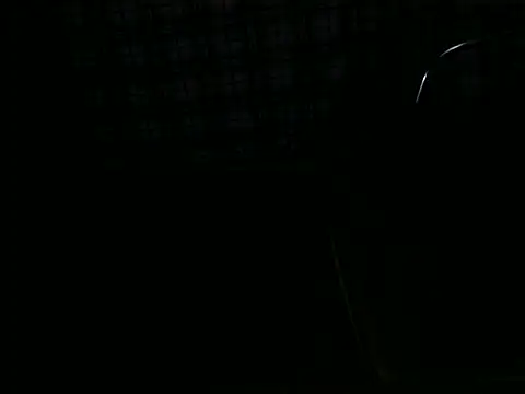 ellsaBunny online show from November 6, 1:31 am