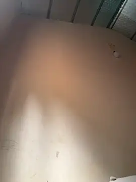 Dilen 7533 online show from November 13, 2:04 am