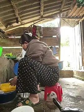 Dilen 7533 online show from November 20, 12:55 am