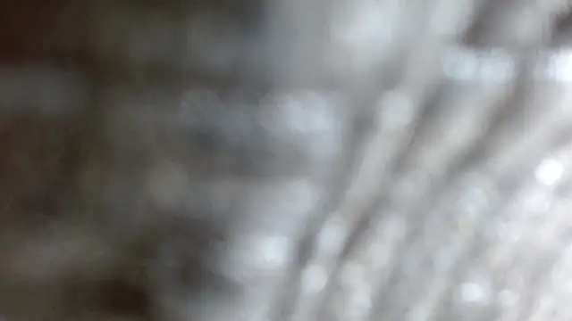 the breasts of desir  online show from November 24, 7:25 pm