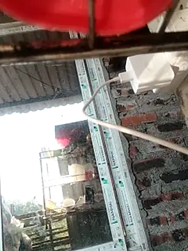 Snapshot of MINSSA502 chatting on November 23, 6:12 am MINSSA502 online show from November 23, 6:12 am