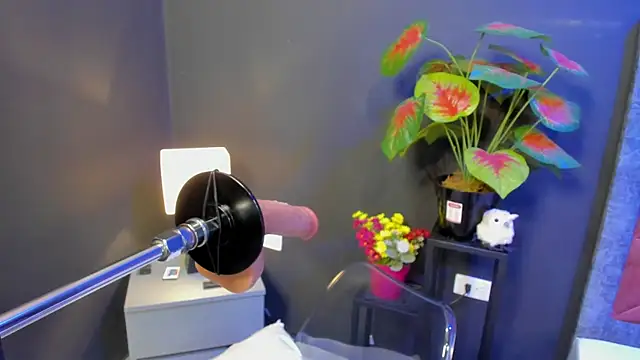 Amy whittee online show from April 12, 3:43 am