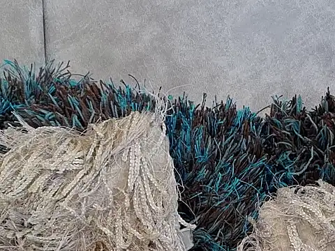 Snapshot of LannyShell chatting on November 26, 5:24 pm LannyShell online show from November 26, 5:24 pm