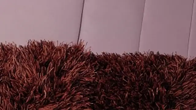 LannyShell online show from March 26, 5:00 pm