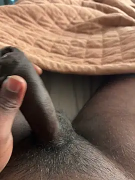 newboy02 online show from February 28, 10:48 am