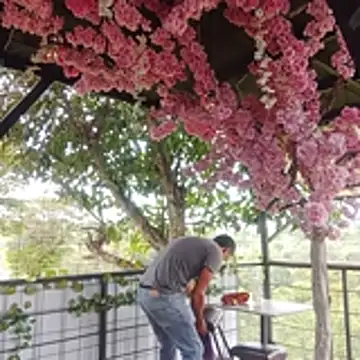 sexlocos online show from November 8, 5:05 pm