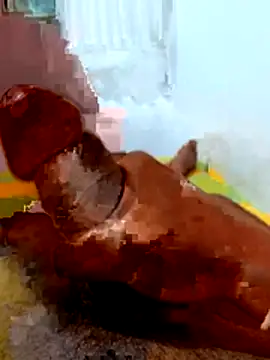 crazy boy55 online show from February 13, 5:35 pm