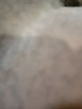 Telonet online show from April 19, 10:16 am