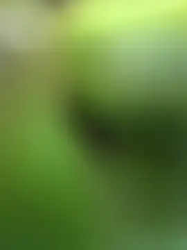 Lynly k2 online show from February 13, 5:29 am