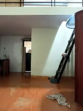 Lynly k2 online show from March 11, 1:10 am