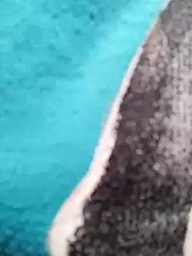 Lynn-122 online show from March 6, 3:23 am