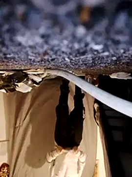 WeakDegree76 online show from January 10, 6:58 pm