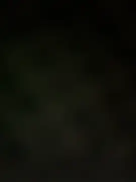 trickydickydaddy online show from March 13, 7:57 am