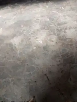 WillfulVideo online show from November 12, 10:41 am