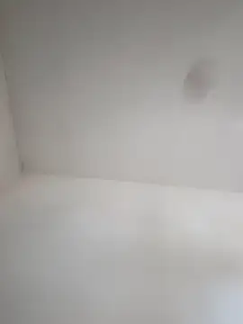 Lupercinio online show from November 29, 2:17 pm