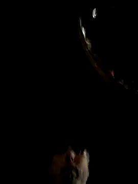 throbbbyxh online show from December 22, 2:22 am