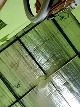 Keya-009 online show from March 20, 9:54 am