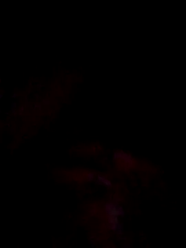 jacka 305 online show from December 1, 8:32 pm