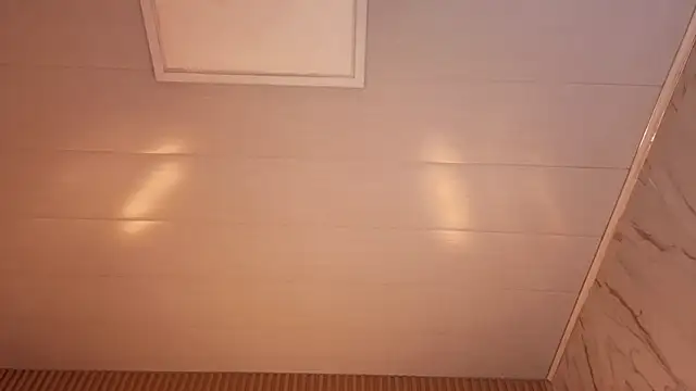 venus velvet tp online show from January 5, 5:27 pm