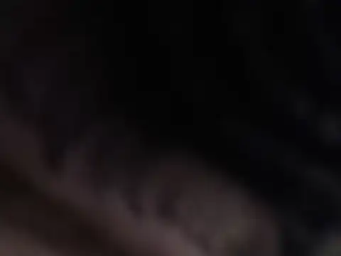 dayan hanks online show from December 19, 9:06 pm