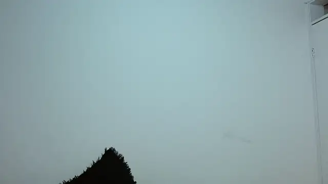 dayan hanks online show from March 23, 3:28 am