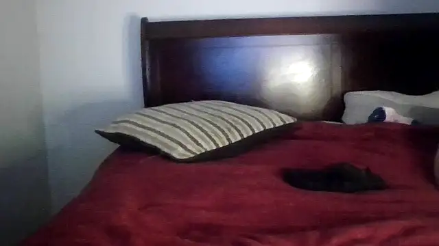 Dusaa  online show from December 17, 8:36 pm