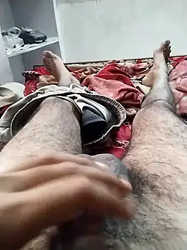 hyderabad single online show from January 17, 6:17 am