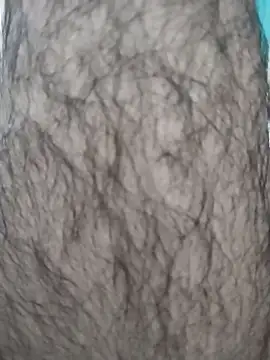 hyderabad single online show from November 29, 11:32 am