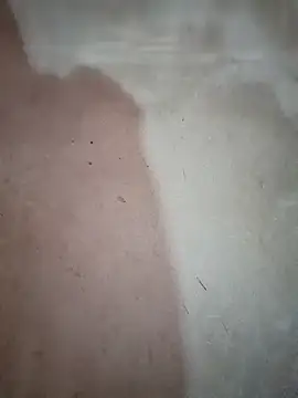 blonde blg online show from December 20, 12:46 am