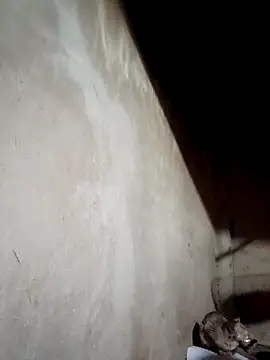 blonde blg online show from March 17, 4:48 am