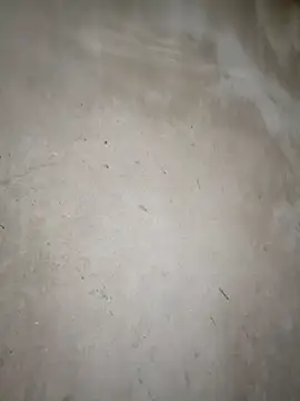 blonde blg online show from March 14, 11:33 pm