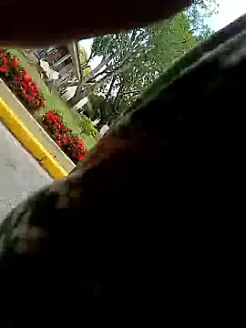 MonasticCanine online show from January 10, 4:13 pm