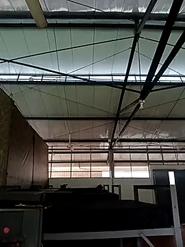 MonasticCanine online show from November 26, 11:32 am