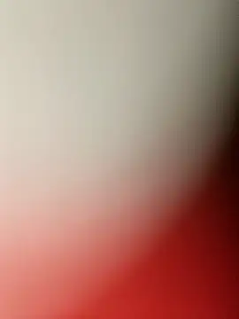 MonasticCanine online show from December 22, 1:06 am