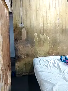 Alana phs online show from November 25, 2:06 pm