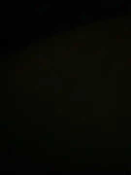 Dona Mafia online show from December 20, 2:36 am