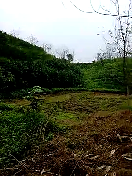 Cloud-wh online show from March 5, 12:40 am