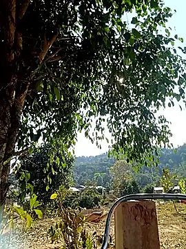 Snapshot of -Chua-90 chatting on February 20, 8:05 am -Chua-90 online show from February 20, 8:05 am