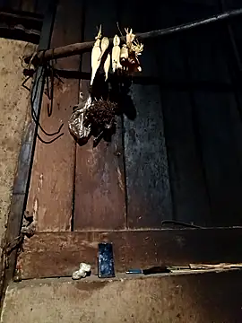 -Chua-90 online show from January 13, 11:36 am