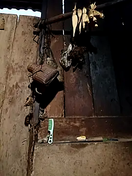 Snapshot of -Chua-90 chatting on February 9, 11:36 pm -Chua-90 online show from February 9, 11:36 pm