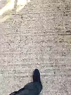 Unknown18cmxh online show from December 18, 8:41 am