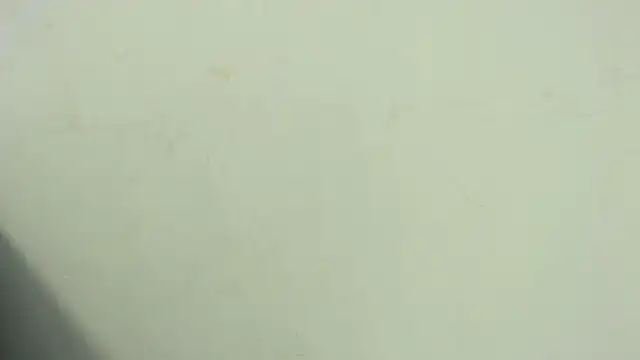 thiagoramirez  online show from November 11, 1:11 am