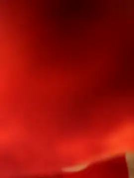 Ragner-6 9 online show from March 9, 8:01 pm