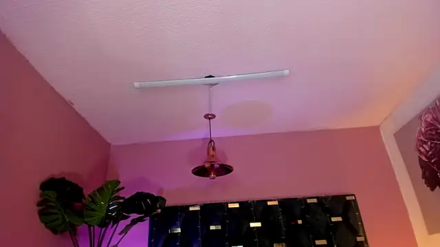 Velvet Dreamss online show from March 26, 11:41 am